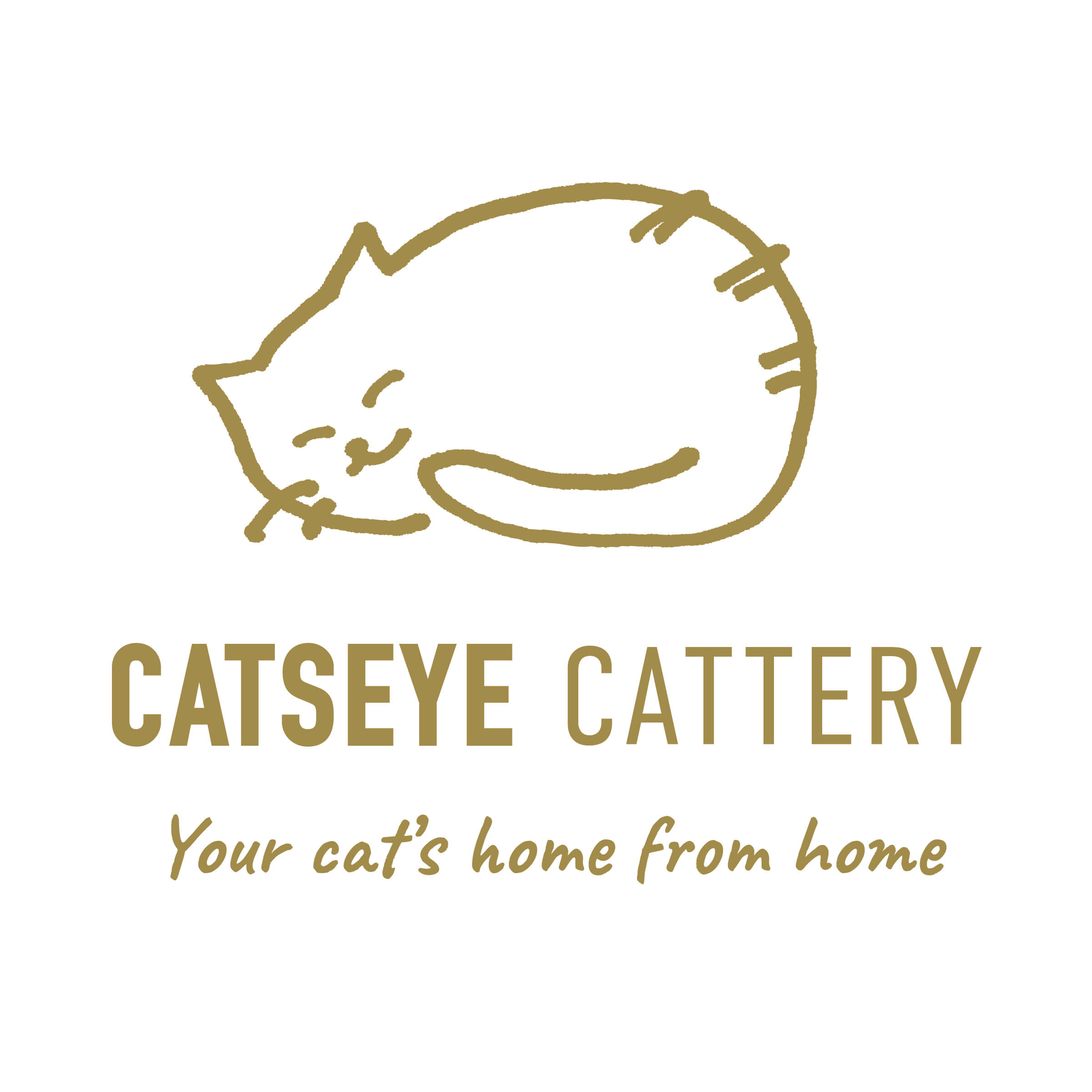 Our Smart New Logo, Website and Online Booking System