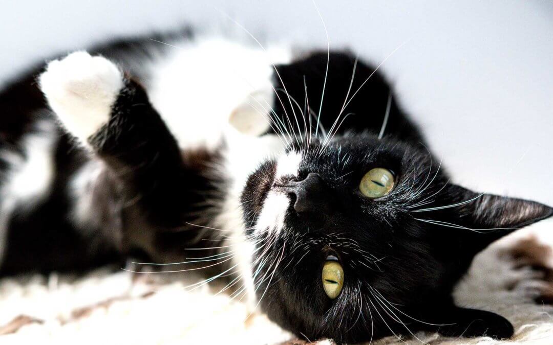 Our Opening Hours are Changing