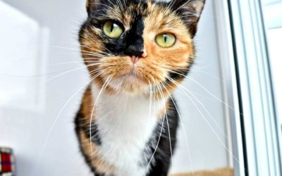 Our Opening Hours are Changing