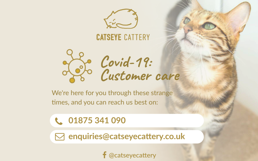 Covid – Keeping you and our Team Safe.